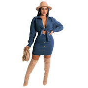 Denim Collar Tube Top Button Bow Fashion Dress Suit